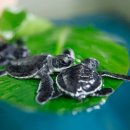 거북호텔 이미지