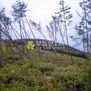 신원면 과정리 이미지