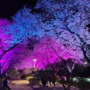 수안보로 이미지