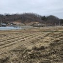 충도리농장 이미지