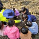 자람어린이집 이미지