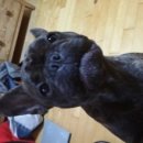 서래마을 체육관 이미지