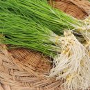 달래농장 이미지