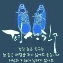 간추린 뉴스 이미지