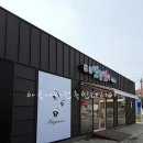 화사뷰티