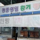 청풍명월황기찐빵