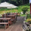 광릉수목원로 이미지