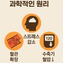 내 몸을 웃게하는 산야초(기초) | 매일 아침 걸었더니, 정말 혈압이 안정되기 시작했습니다 (솔직한 후기)