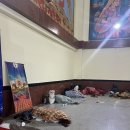 낙타 | 아이와 자이살메르 사막 사파리 후기｜낙타 사파리·사막 캠핑 1박 (1600루피)