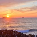 2025 간절곶 해맞이 행사 이미지