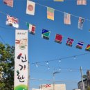 신기한면 이미지