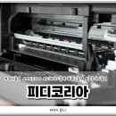충주피디코리아