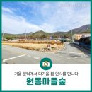 원동마을길 이미지