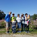 강희농장 이미지