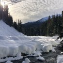 (주)휘슬러비씨 이미지