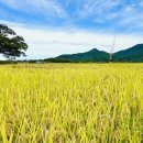 반딧불이마을 영농조합법인 이미지