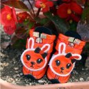 도기스쿨 이미지