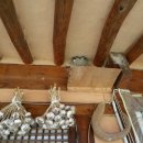 낙안큰샘민박 이미지