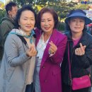 행운동-21 이미지