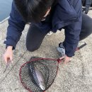 신기낚시터 이미지