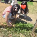 부천유도체육관 | [일상기록] 5월은 푸르구나~바쁘고, 즐거웠던 나의 일상🥰🌱(남대문시장, 부천아트센터)