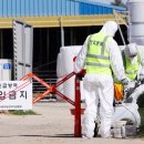 초동축산 이미지