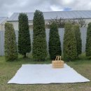 화담별서 이미지