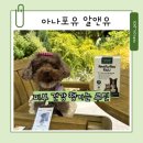 아나포유 | 아나포유 알앤유 강아지 피부영양제 급여 후기