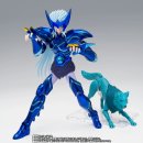 공공안경타운 이미지