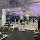 위너스타짐 이미지