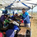 명품꽃마을 이미지