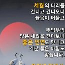 빛나는내일