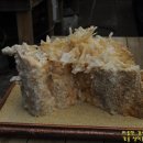 석순농장 이미지