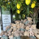 숲속 아지트 이미지