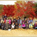 효평동 소공원 Daum카페