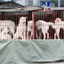 구포시장 상인회 이미지