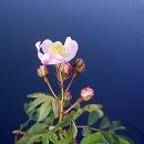 석연농장 이미지