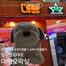 대빵오락실 수원로데오점 | 압구정로데오 대빵오락실 인형뽑기 집게힘,내돈내산 솔직후기