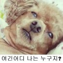 타마시헤어황골점 이미지