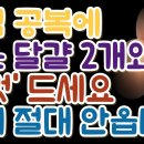 아침 공복에 삶은 달걀 2개와 '이것' 드세요 치매 절대 안옵니다 이미지