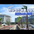 호텔추천 ｜환상적인 뷰와 최장의 인피니티풀이 있는 호텔, 제주 파르나스 이미지