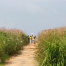 억새어린이공원 이미지