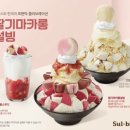설빙목포