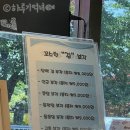 청천초교 | [구례군-마산리/화엄사로] 기름 누린내 없는 바삭! 꼬숩! 튀김 간식 "지리산 꼬소부각"