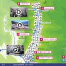 정금교 옆 이미지