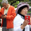 행운모사