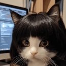 내머리어때 이미지