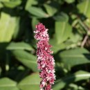 허 한의원 이미지