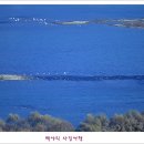 유니온타워 이미지