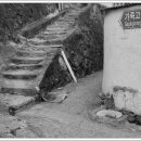 가죽고랑길 이미지